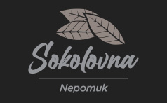 Restaurace Sokolovna