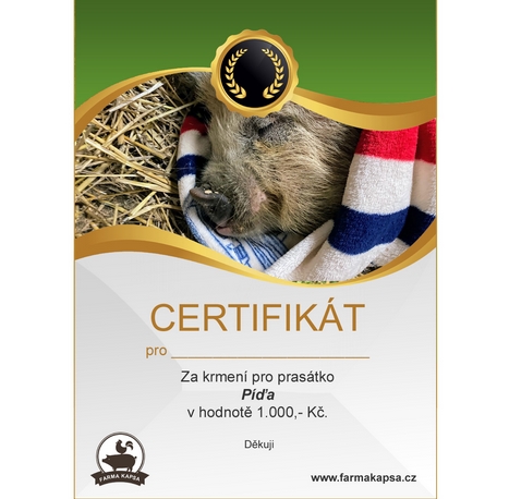 Chci nakrmit prasátko Píďu