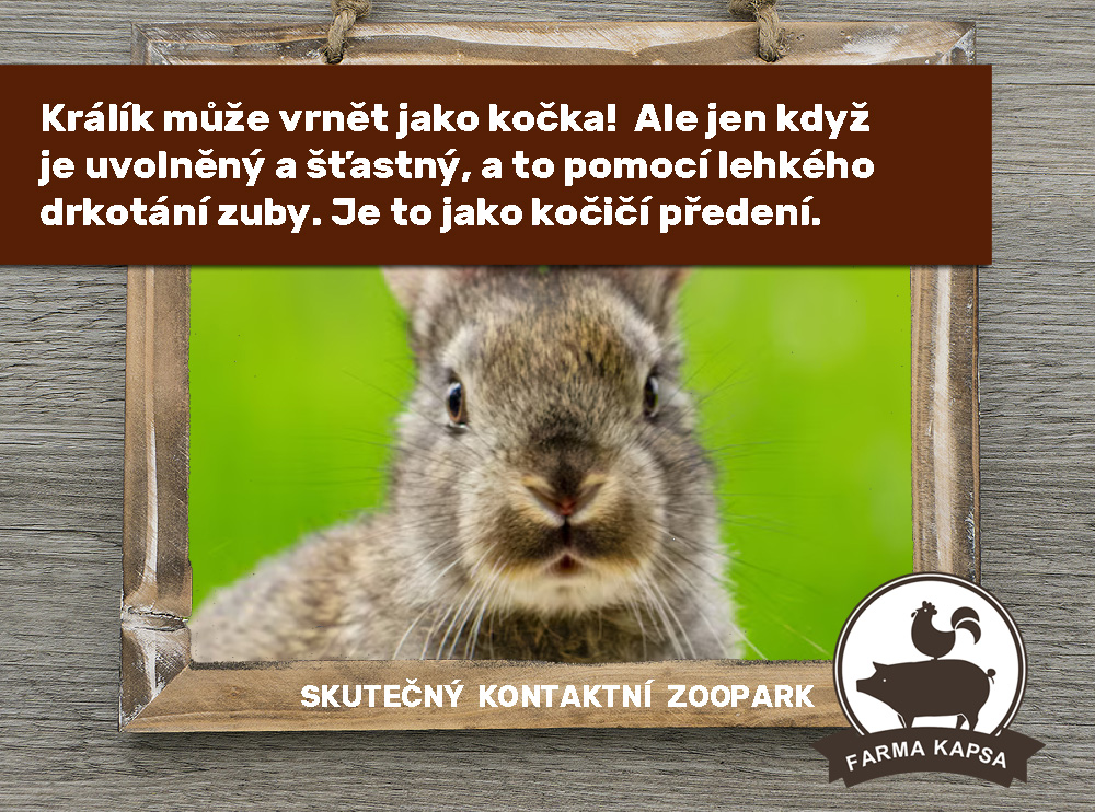 víte, že farma Kapsa