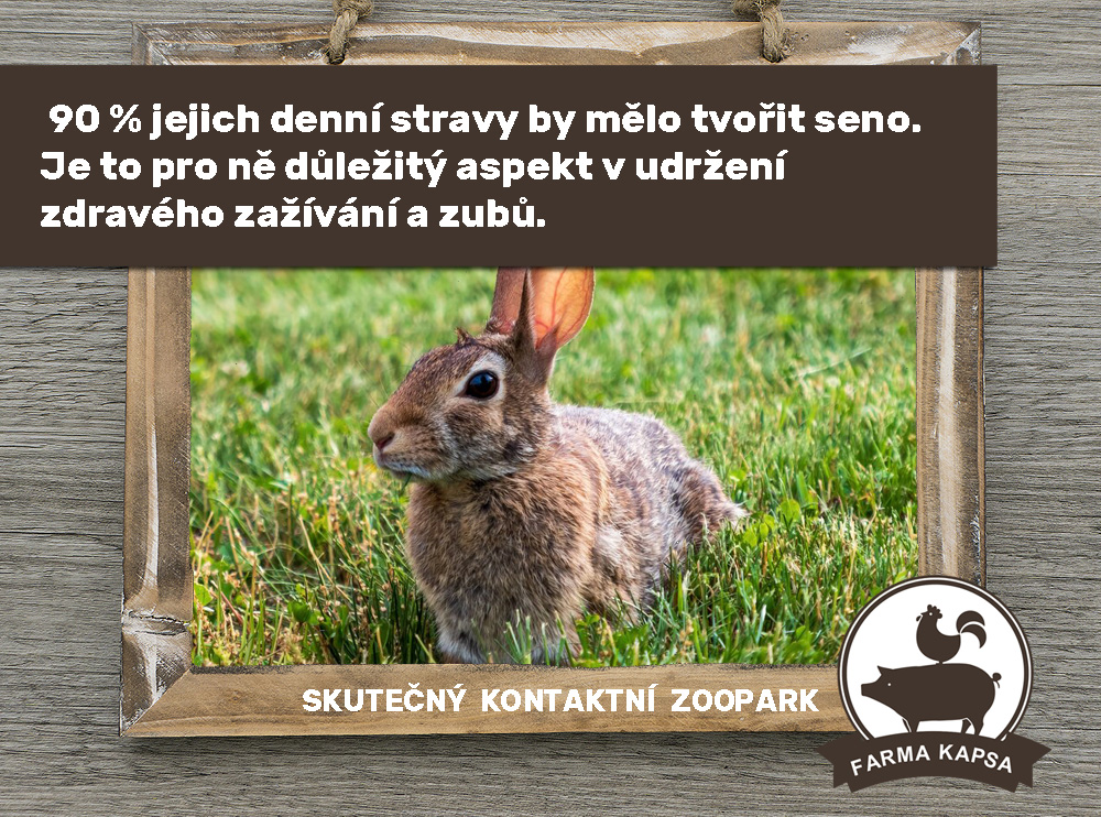 víte, že farma Kapsa