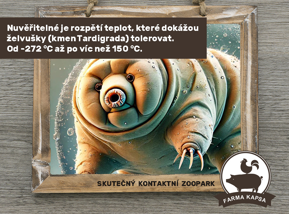 víte, že farma Kapsa