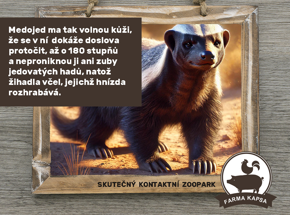 víte, že farma Kapsa