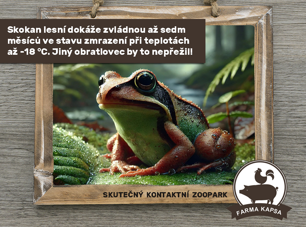 víte, že farma Kapsa