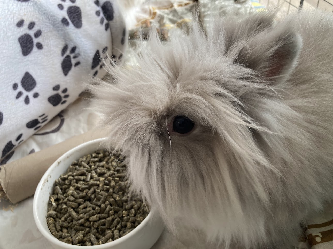 charlie2