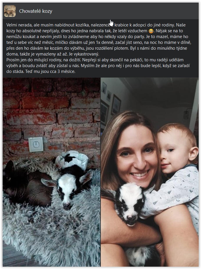 kmotra kozlíka Čertíka kmotra kozlíka Čertíka