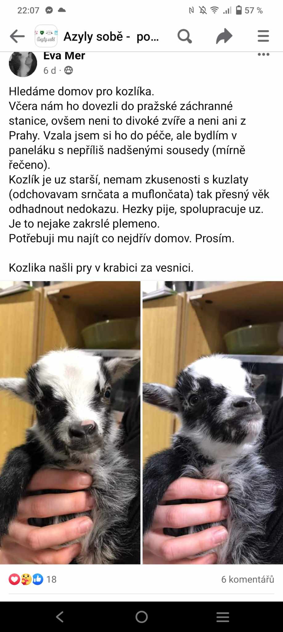 kmotra kozlíka Čertíka kmotra kozlíka Čertíka