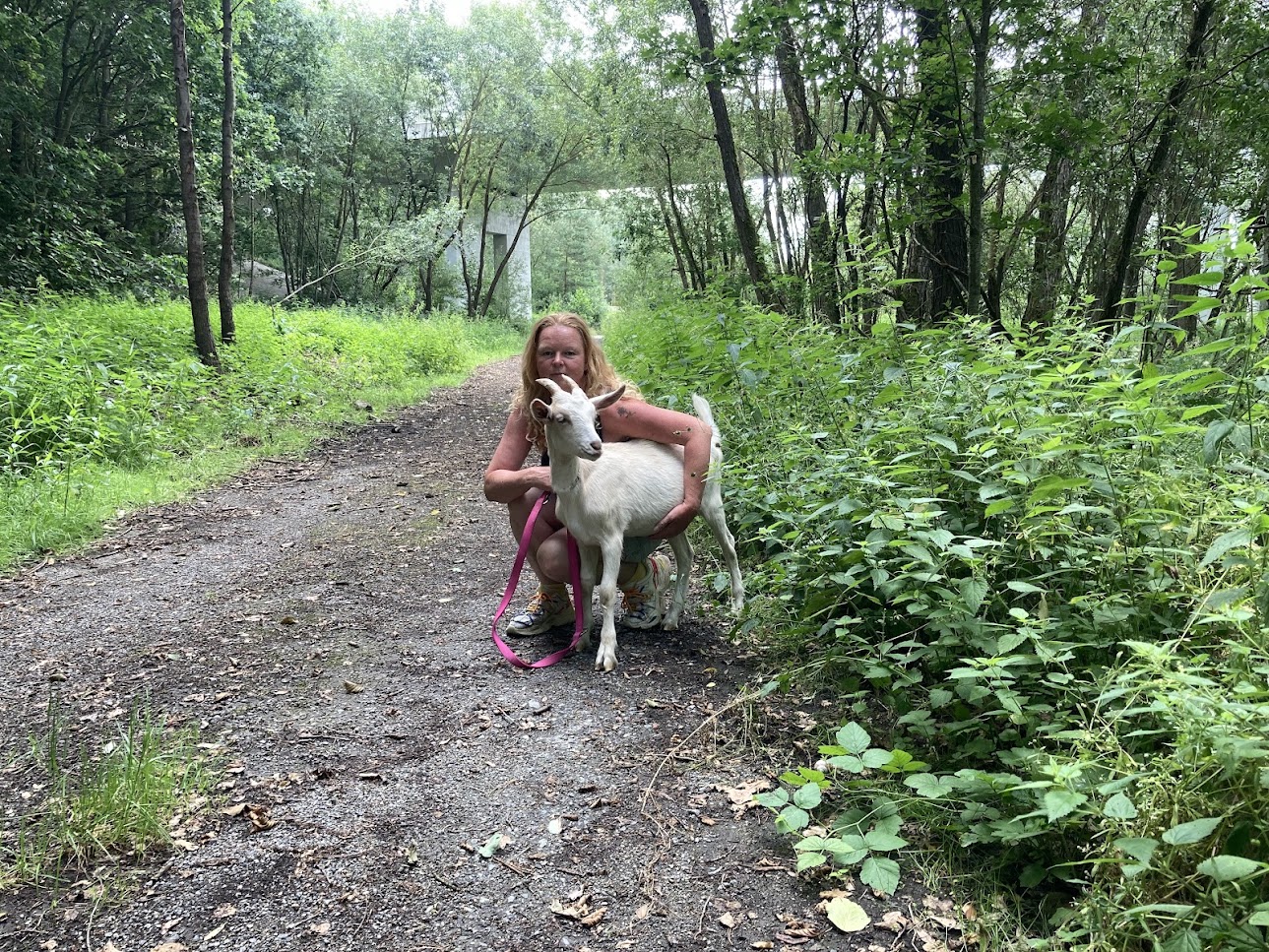 kozička Miley z farmy Kapsa