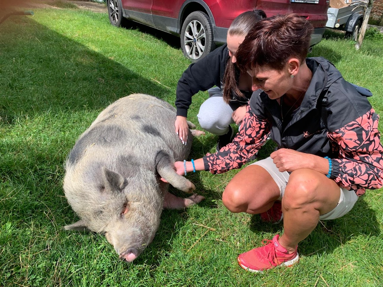 56220ef1-3c71-4bf6-aaad-61d33da90e7d