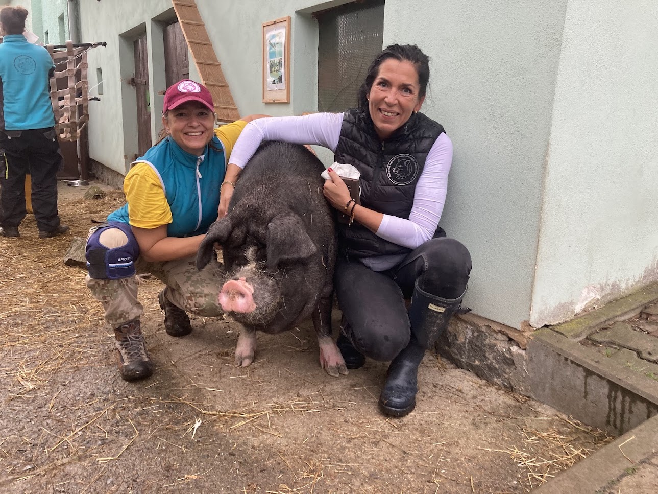 a je hotovo prasátka farma Kapsa a je hotovo prasátka farma Kapsa