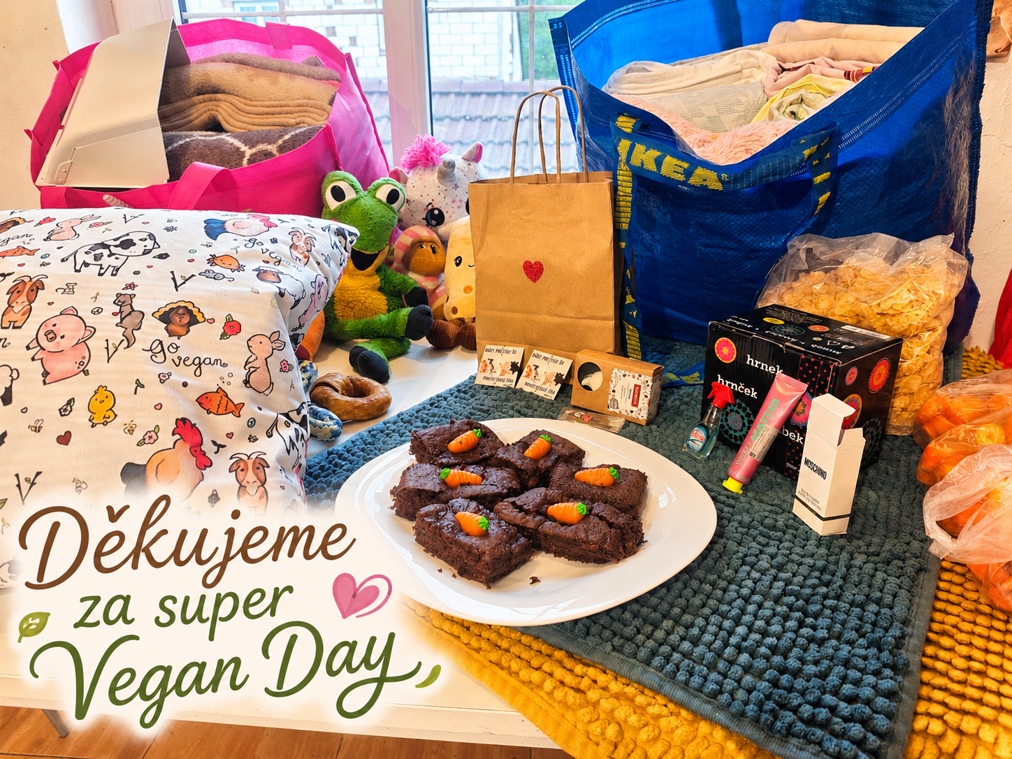 pes Theo strážce farmy Kapsa vegan day