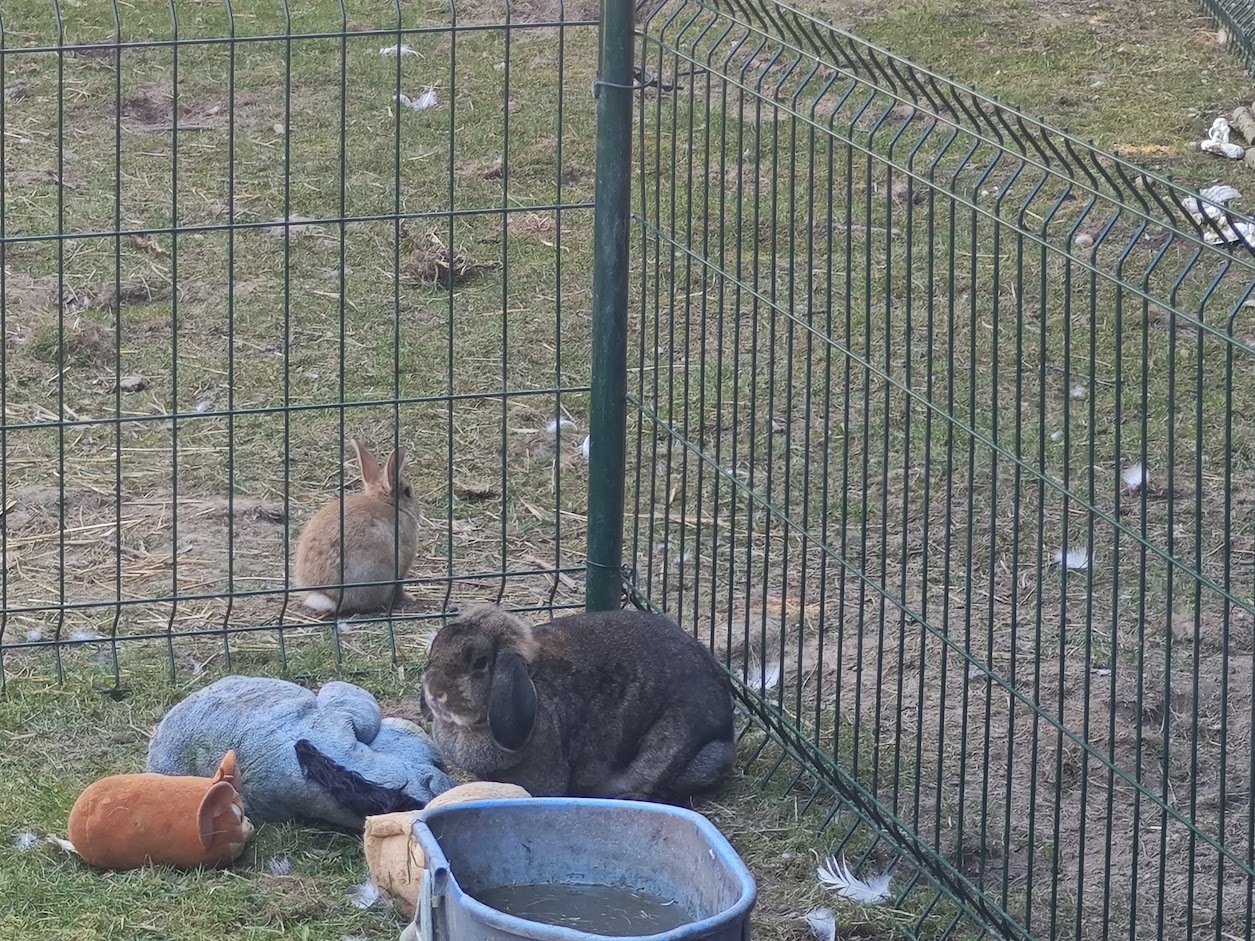 Šrek z farmy Kapsa Šrek z farmy Kapsa