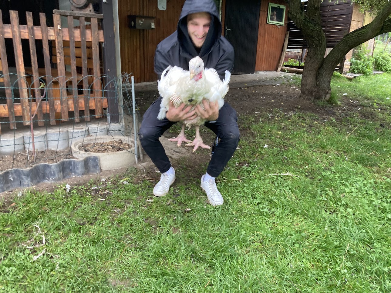 16