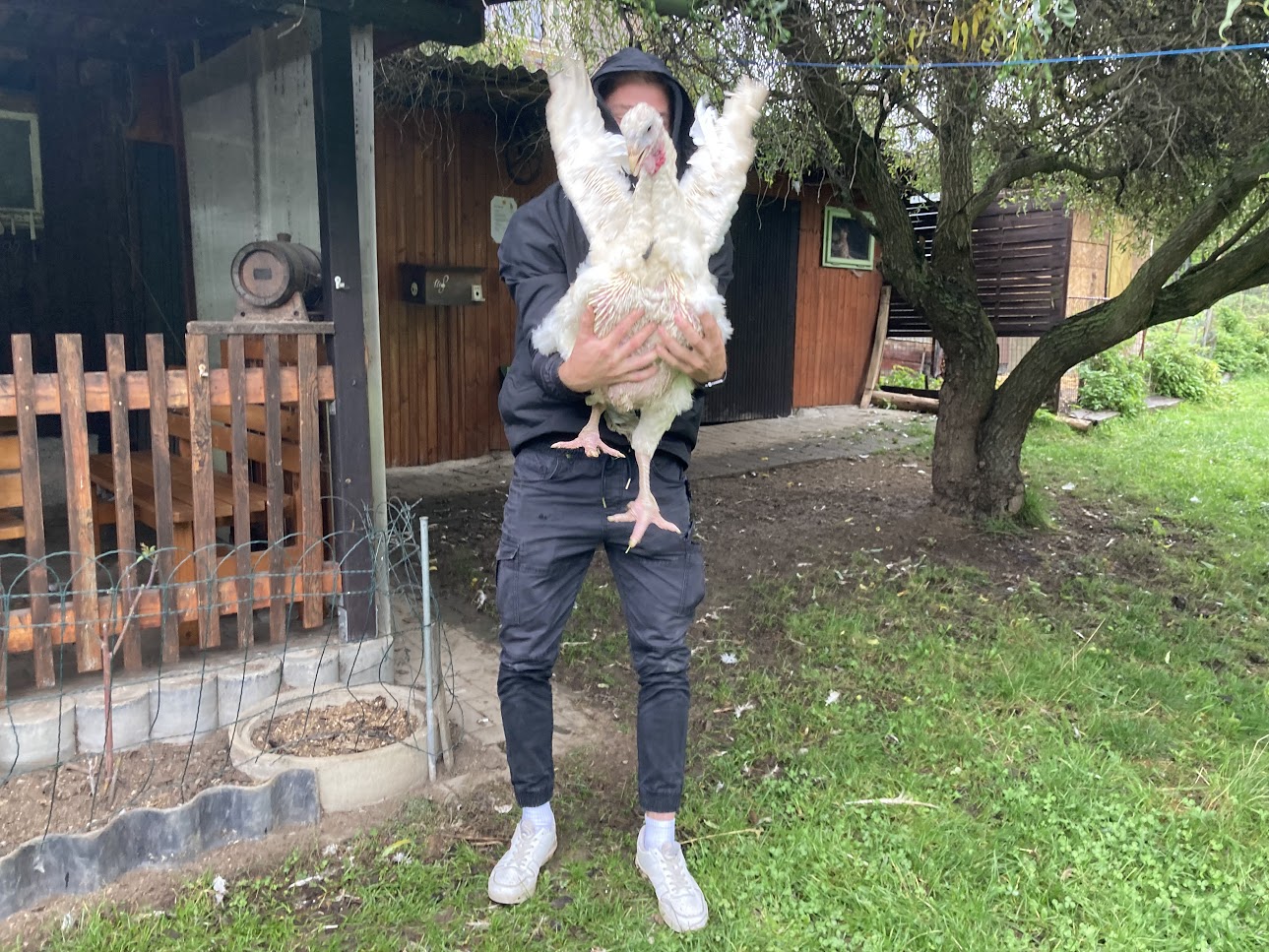 17
