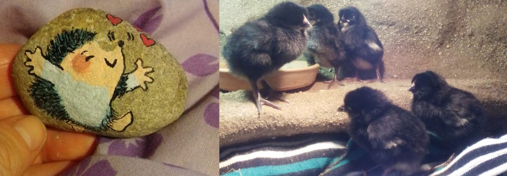 Roztomilý ježeček nakreslený úžasnou Evou Novákovou pro naše zvířátka, získala v aukci dobrodinka Žaneta Kudlíková. Oběma zvířátka děkují.
