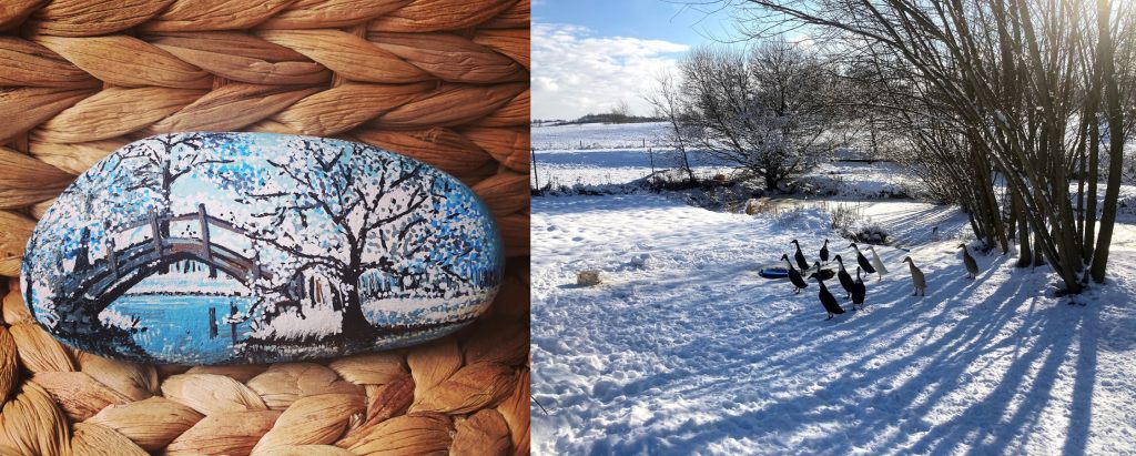 Krásná zimní krajina nakreslená úžasnou Lucií Červenkovou pro naše zvířátka, získala v aukci dobrodinka Iva Musilová. Oběma zvířátka děkují.
