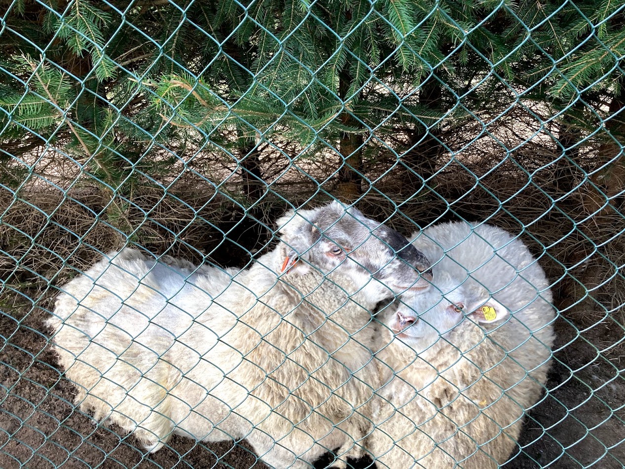 405