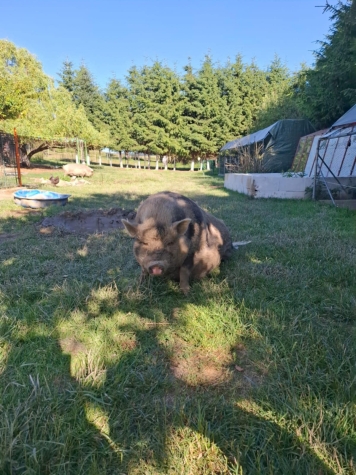 Anička 01