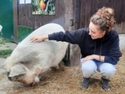 Klášter 06